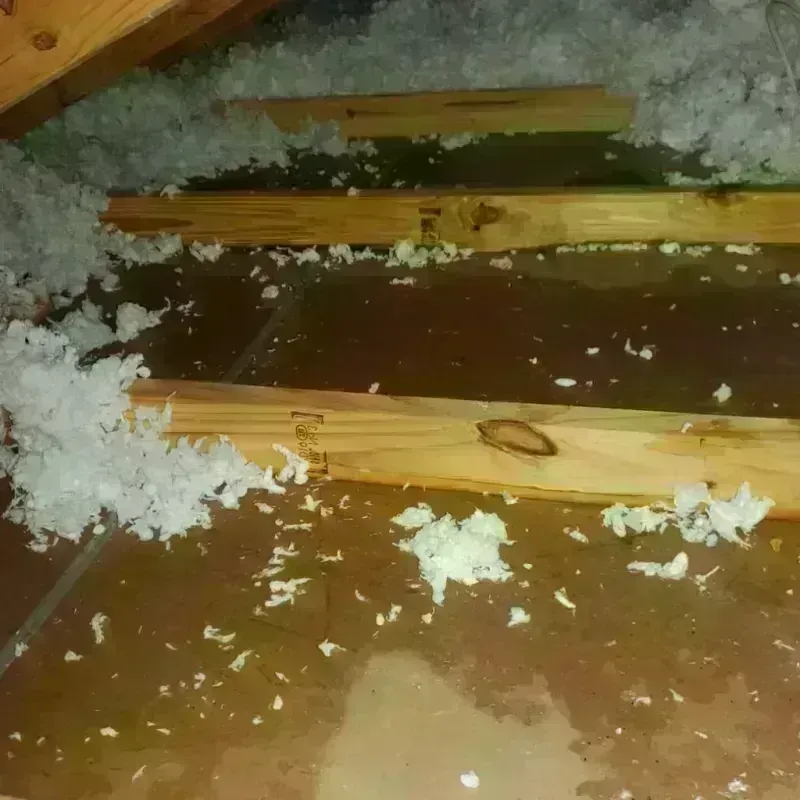 Attic Water Damage in Peoria County, IL