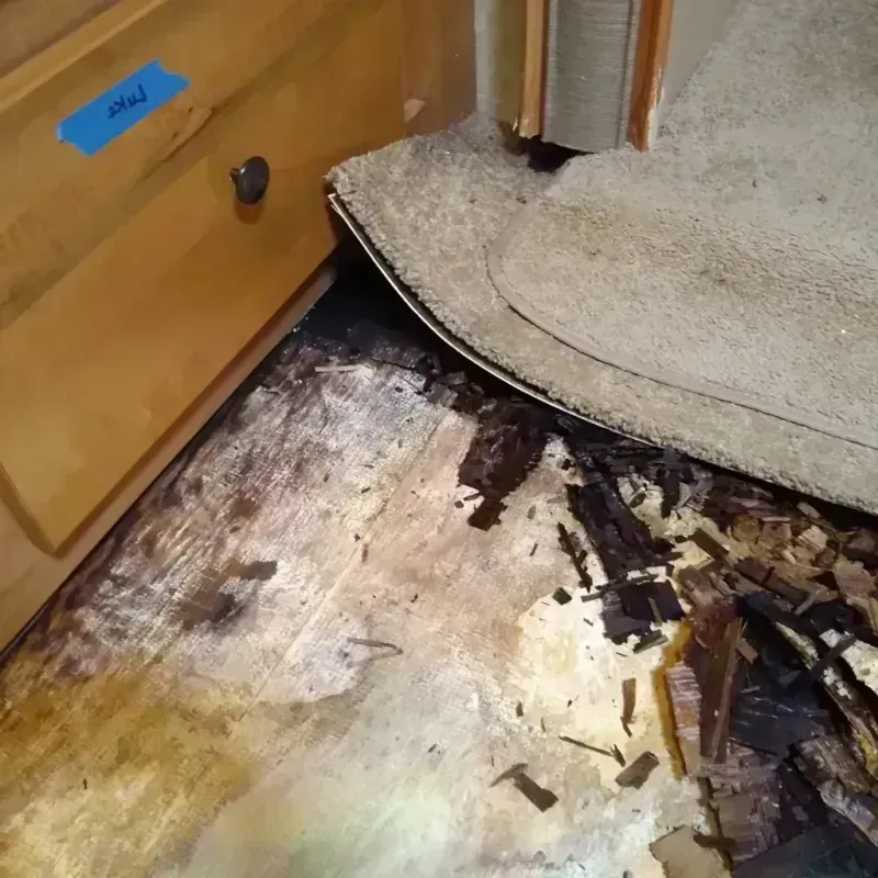 Wood Floor Water Damage in Peoria County, IL